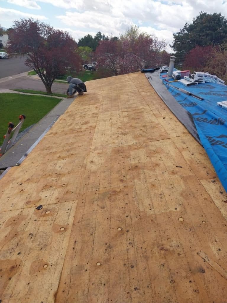 New plywood roof decking over the rafters, with spring trees around the house.