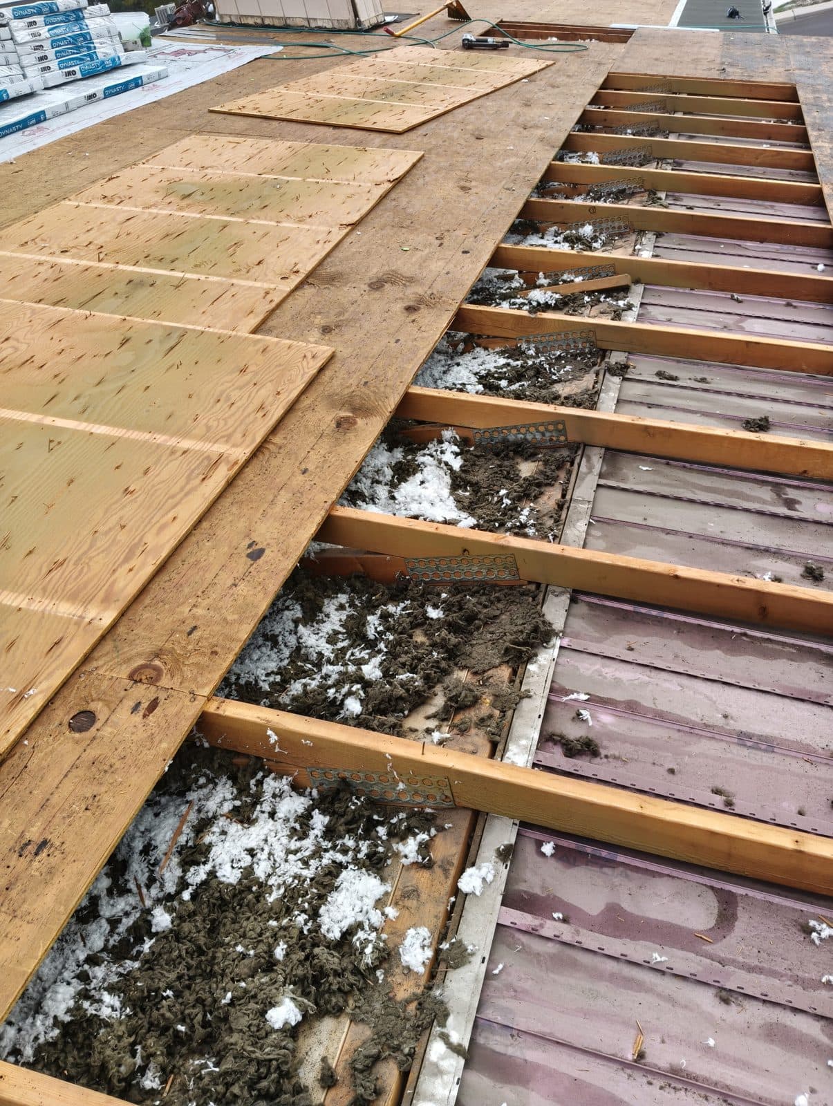 Roof deck replacement in progress, with new plywood sheets laid over the rafters and older insulation visible between the bays.